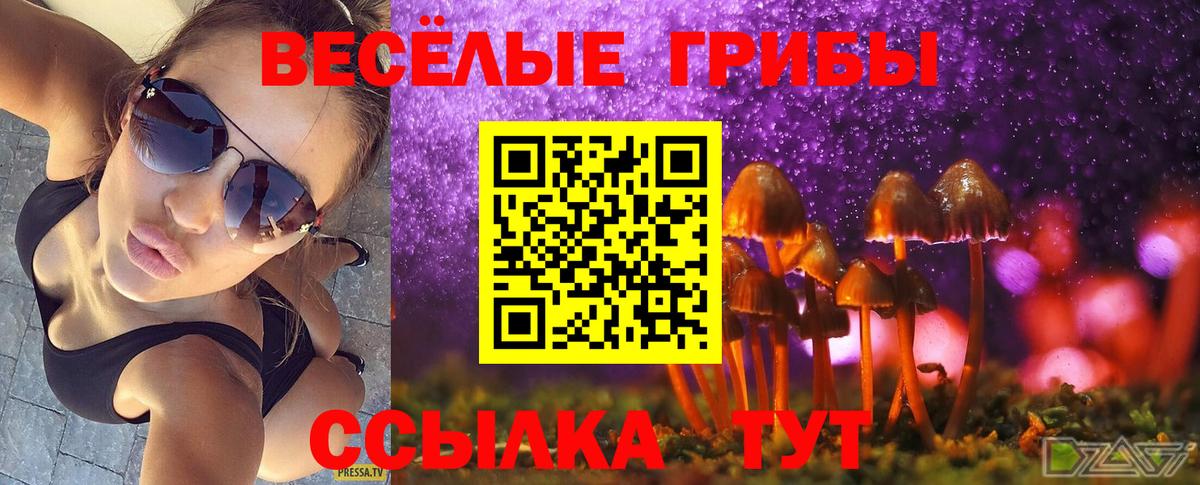 купить наркотик  Вход с VPN  Камышлов  Псилоцибиновые грибы Cubensis 