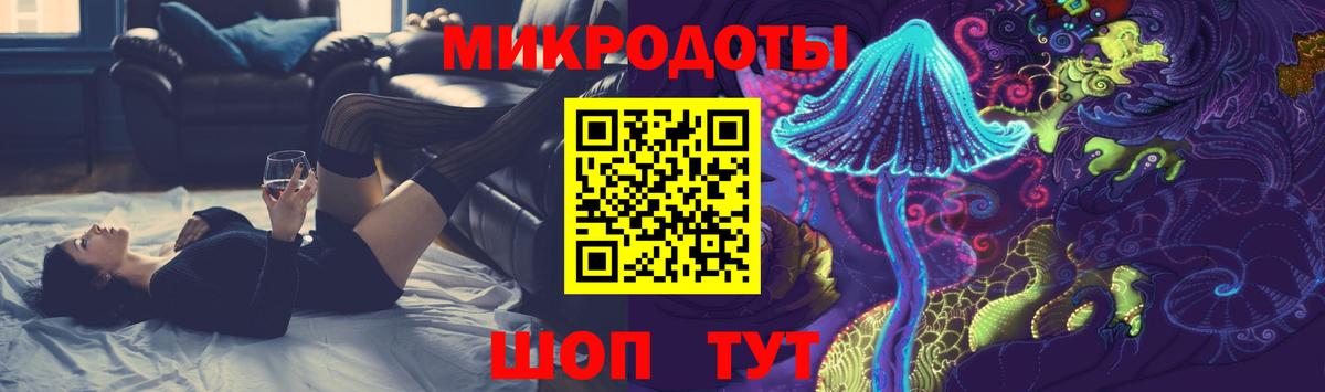 Галлюциногенные грибы Psilocybe Камышлов